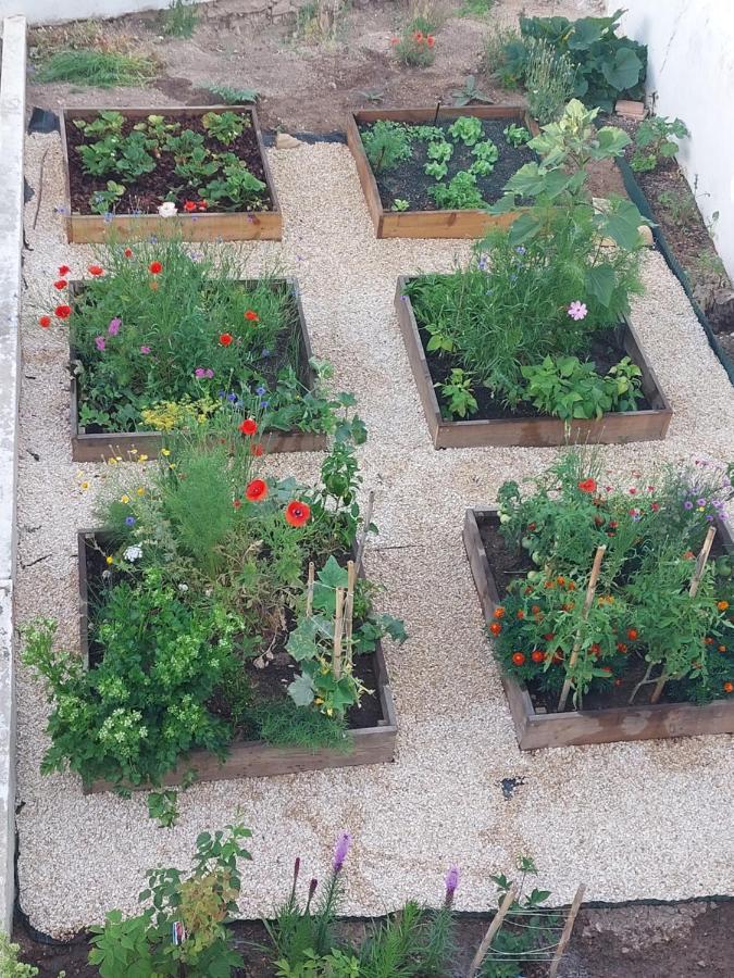 "Oliveiras" Appartement Typique Avec Terrasse Et Piscine Loule Bagian luar foto