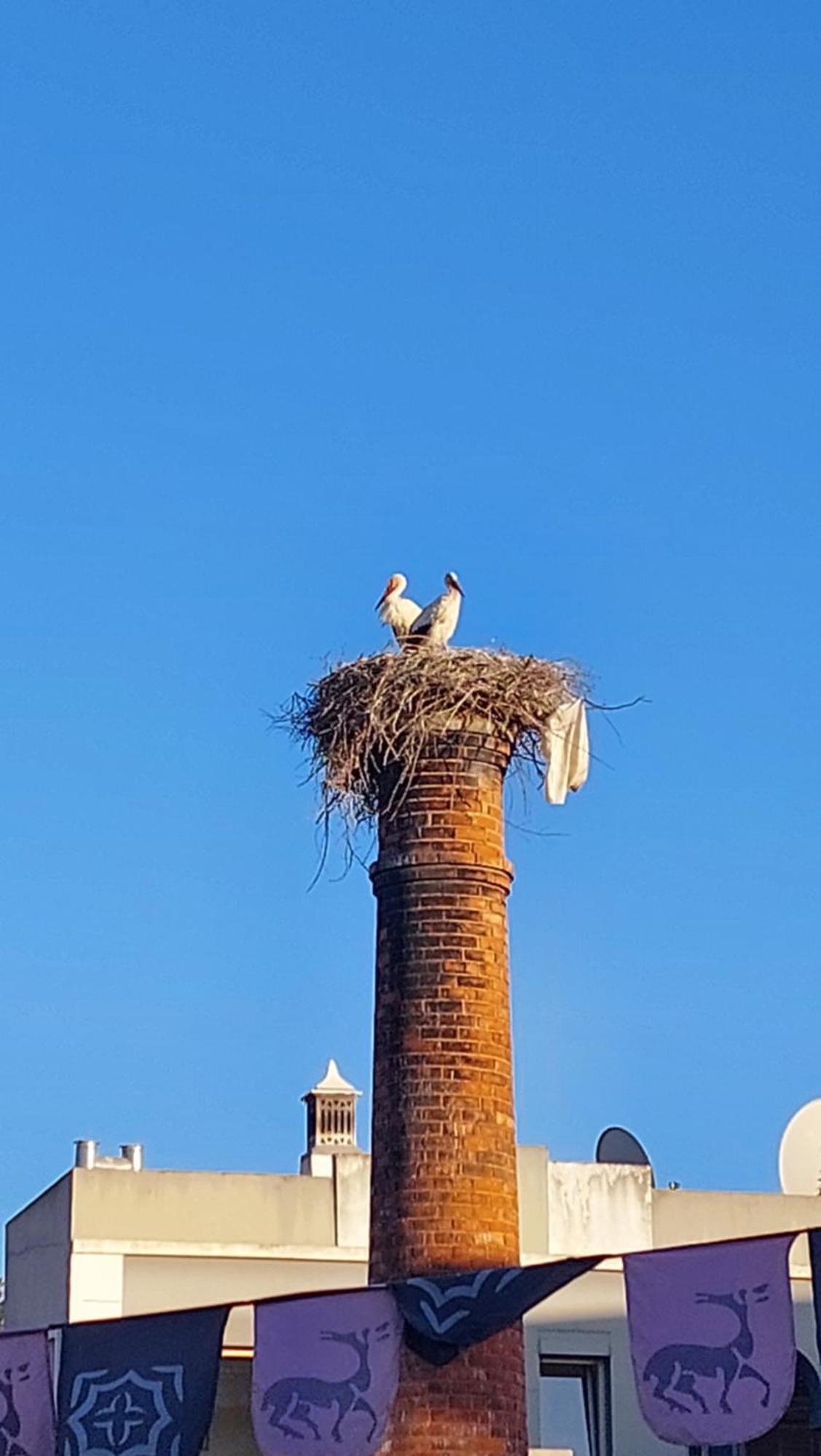 "Oliveiras" Appartement Typique Avec Terrasse Et Piscine Loule Bagian luar foto