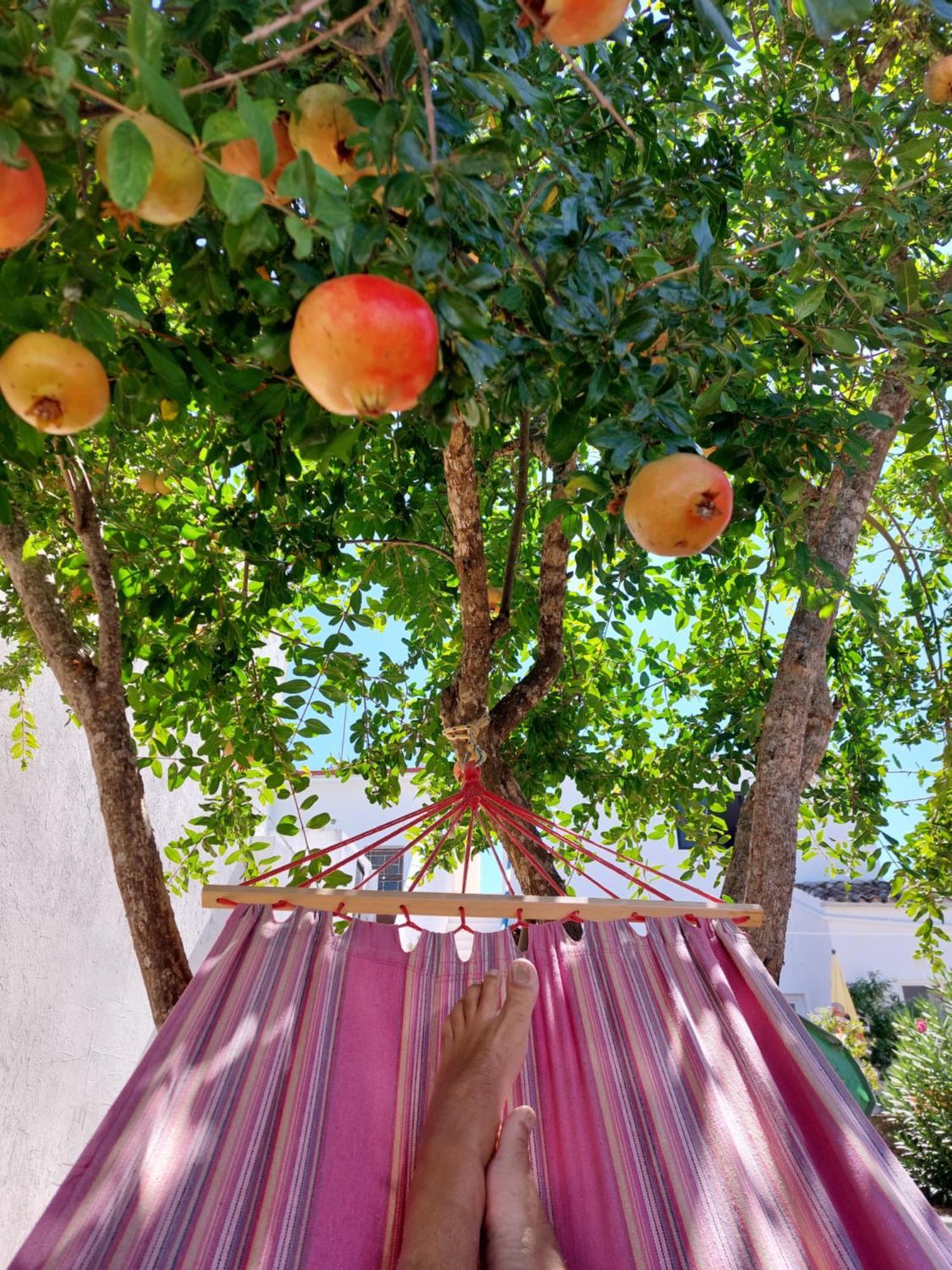 "Oliveiras" Appartement Typique Avec Terrasse Et Piscine Loule Bagian luar foto