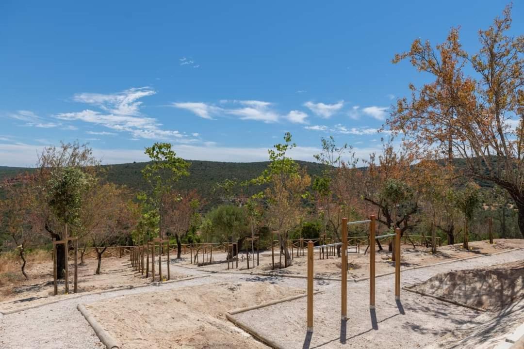 "Oliveiras" Appartement Typique Avec Terrasse Et Piscine Loule Bagian luar foto